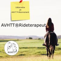 AVHTT®Rideterapeut uddannelsen -  2026 til 2028