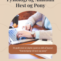 Fysiologi og anatomi hest - E-learning