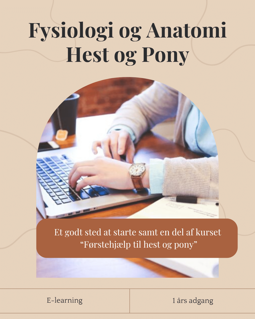 Fysiologi og anatomi hest - E-learning