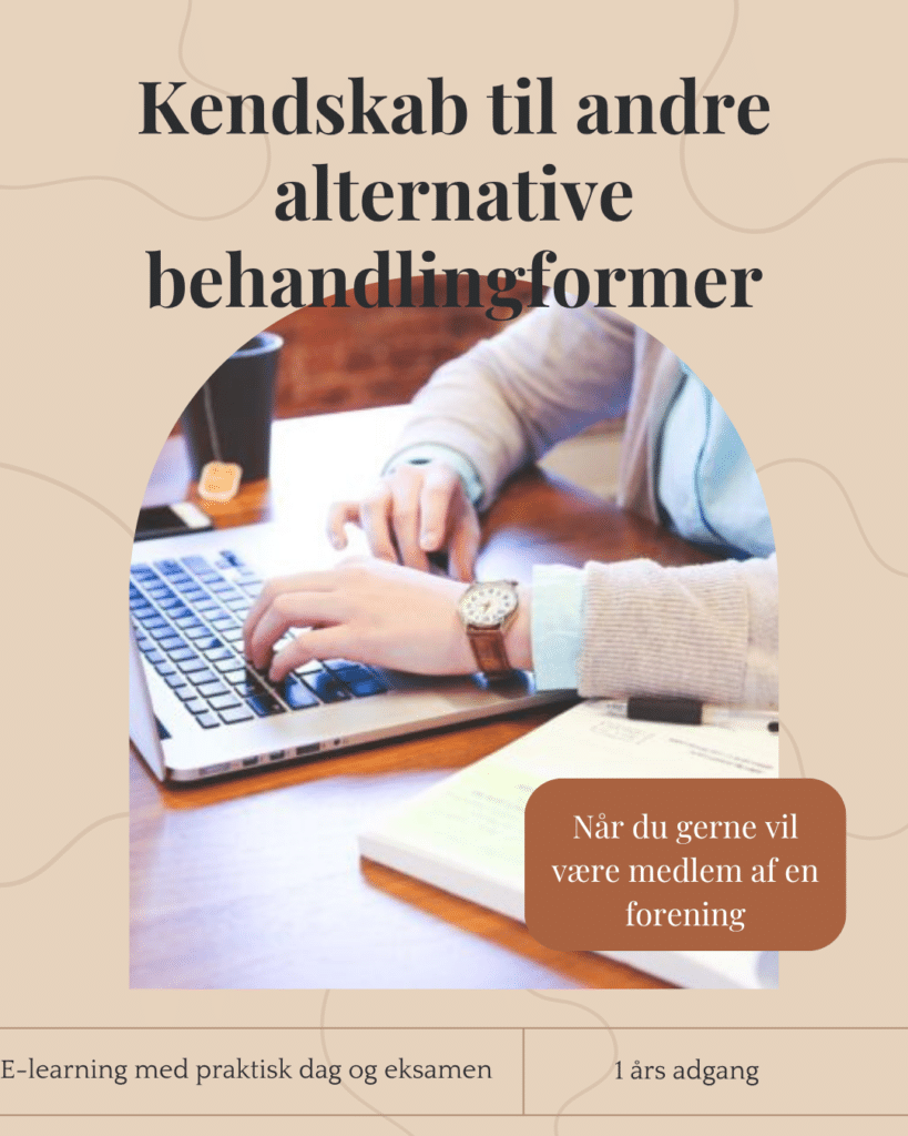 Kendskab til andre alternative behandlingsformer -E-learning og praktisk dag